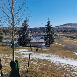 Cochrane Skate Park - Cochrane