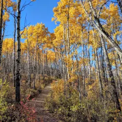 Glenbow Ranch Provincial Park - Cochrane