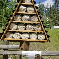 Glenbow Ranch Provincial Park - Cochrane