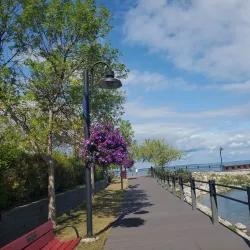 Cold Lake Marina - Cold Lake