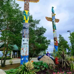 Cold Lake Marina - Cold Lake