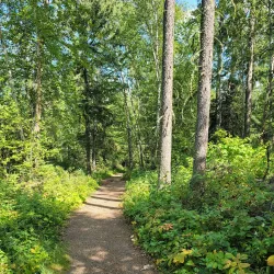 Cold Lake Provincial Park - Cold Lake