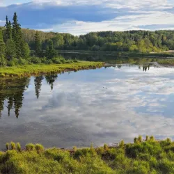 Cold Lake Provincial Park - Cold Lake