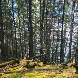 Cold Lake Provincial Park - Cold Lake