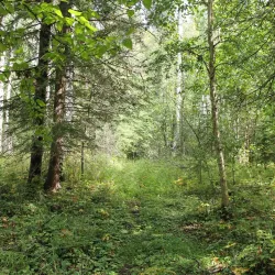 Lakeland Provincial Park and Recreation Area - Cold Lake