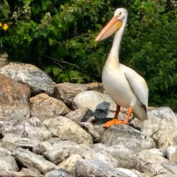 Lakeland Provincial Park and Recreation Area - Cold Lake