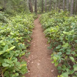Comox Valley Nature Centre - Comox