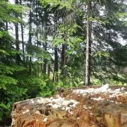 Comox Valley Nature Centre - Comox