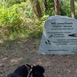 Comox Valley Nature Centre - Comox