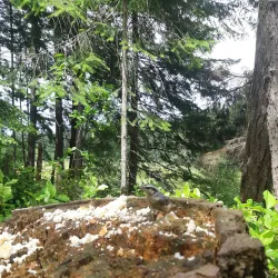 Comox Valley Nature Centre - Comox