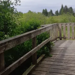 Comox Valley Nature Centre - Comox