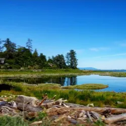 Filberg Heritage Lodge and Park - Comox