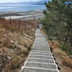 Goose Spit Park - Comox
