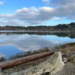 Goose Spit Park - Comox