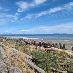Goose Spit Park - Comox