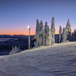Mount Washington Alpine Resort - Comox