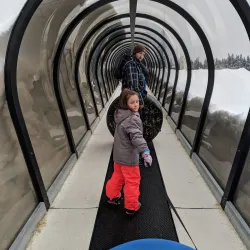 Mount Washington Alpine Resort - Comox