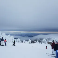Mount Washington Alpine Resort - Comox