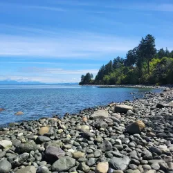 Seal Bay Nature Park - Comox