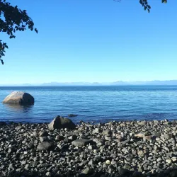 Seal Bay Nature Park - Comox