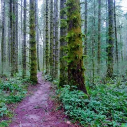 Seal Bay Nature Park - Comox
