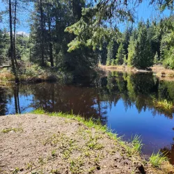 Seal Bay Nature Park - Comox