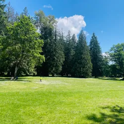Blue Mountain Park - Coquitlam