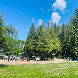 Blue Mountain Park - Coquitlam