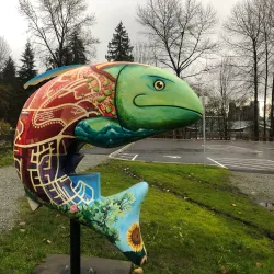 Coquitlam Crunch - Coquitlam