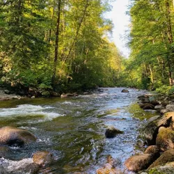 Coquitlam River - Coquitlam