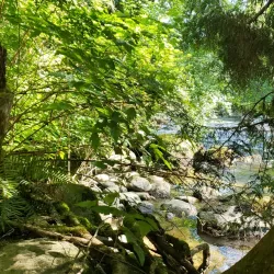 Coquitlam River - Coquitlam