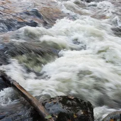Coquitlam River - Coquitlam