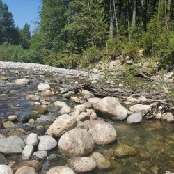 Coquitlam River - Coquitlam