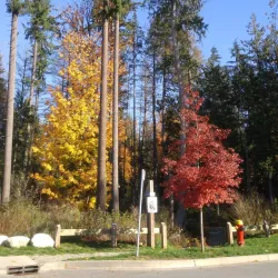 Coquitlam River - Coquitlam