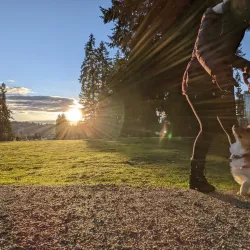 Glen Park - Coquitlam