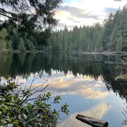 Mundy Park - Coquitlam