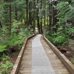 Mundy Park - Coquitlam