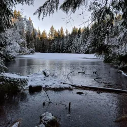 Mundy Park - Coquitlam