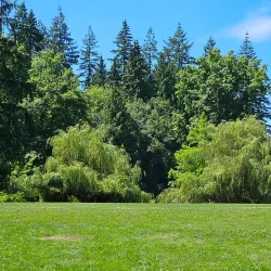 Mundy Park - Coquitlam