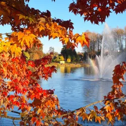Town Centre Park - Coquitlam