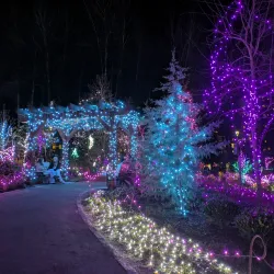 Town Centre Park - Coquitlam