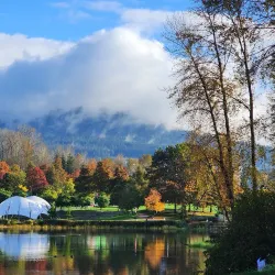 Town Centre Park - Coquitlam