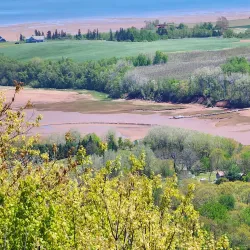 Blomidon Lookout - Corner Brook