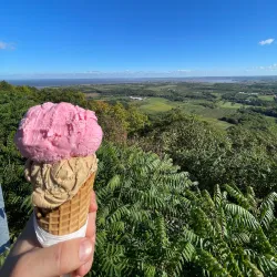 Blomidon Lookout - Corner Brook