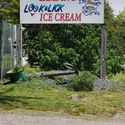Blomidon Lookout - Corner Brook