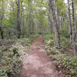 Blomidon Lookout - Corner Brook