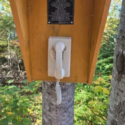 Humber River Trail - Corner Brook