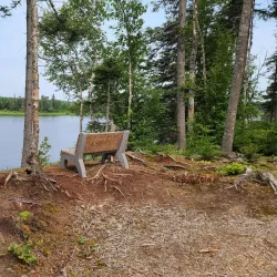 Humber River Trail - Corner Brook