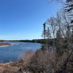 Humber River Trail - Corner Brook