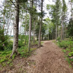 Humber River Trail - Corner Brook